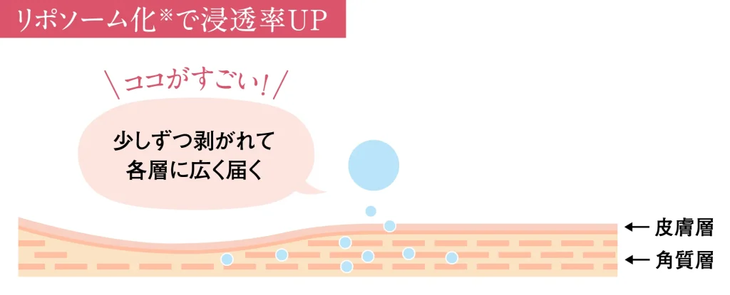 リポソーム化で浸透率UP