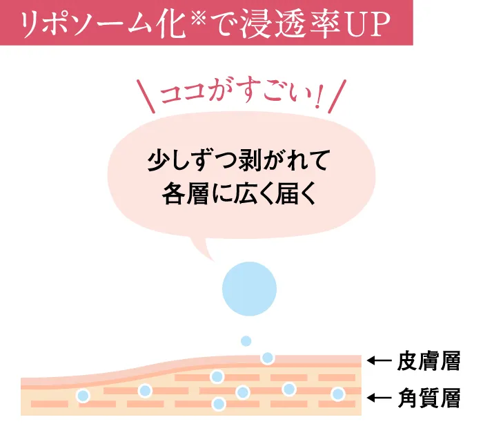 リポソーム化で浸透率UP
